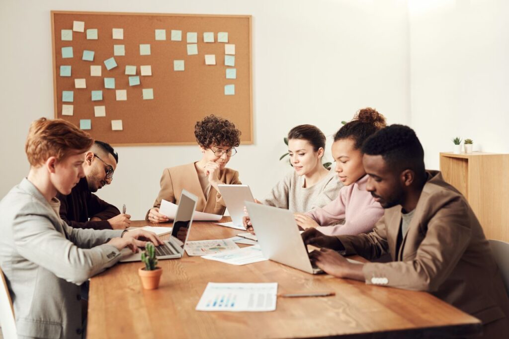 Talent Mapping adalah